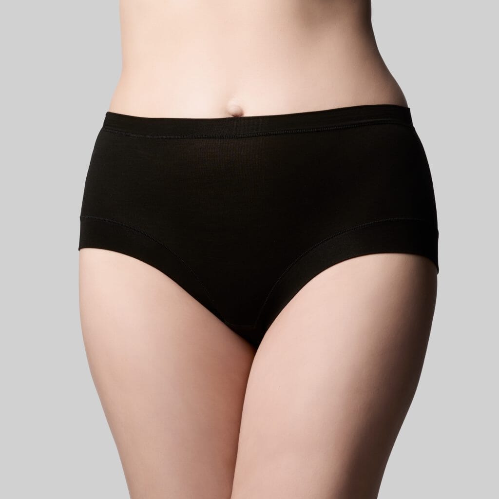 THE KNICKER CLASSIC BAMBOO FULL BRIEF BRIEFS The Knicker