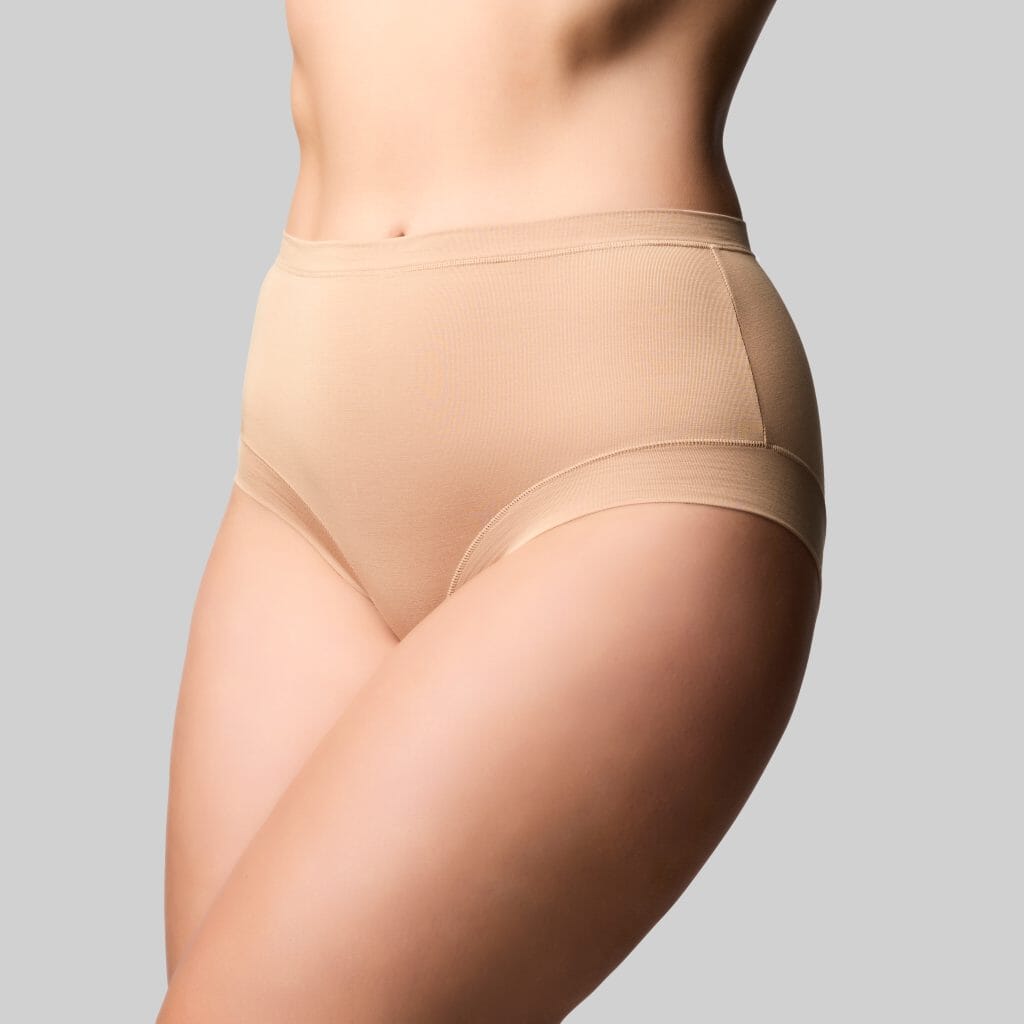THE KNICKER CLASSIC BAMBOO FULL BRIEF BRIEFS The Knicker