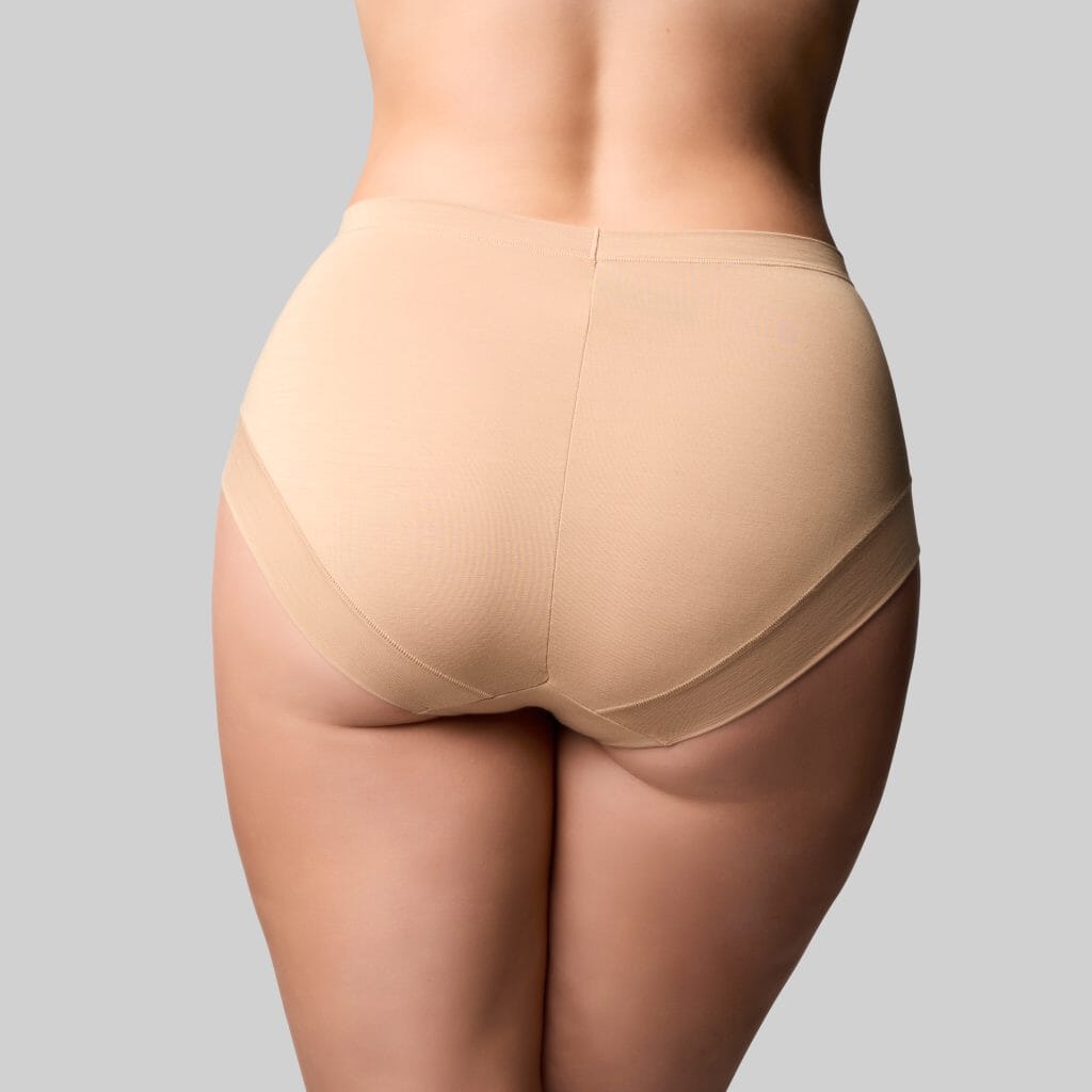 THE KNICKER CLASSIC BAMBOO FULL BRIEF BRIEFS The Knicker