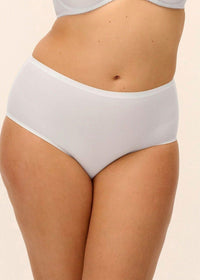 Fantasie Smoothease Invisible Stretch Full Brief Briefs Fantasie 
