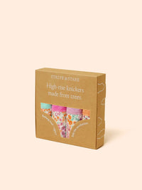 Stripe & Stare High Rise Knickers Four Pack Briefs Stripe & Stare 