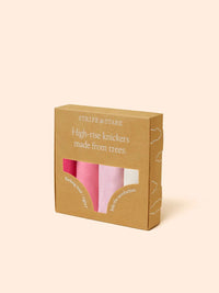 STRIPE & STARE HIGH RISE KNICKERS FOUR PACK BRIEFS Stripe & Stare 