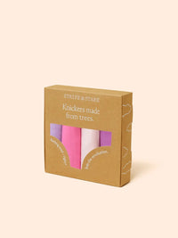 Stripe & Stare The Original Knicker Four Pack Briefs Stripe & Stare 