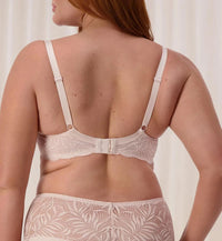 Triumph Essential Lace Balconette Padded Bra Bras Triumph 